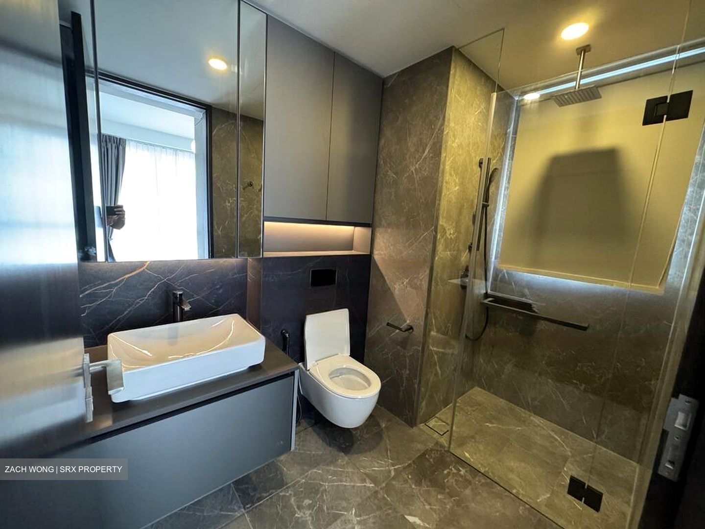 Irwell Hill Residences (D9), Apartment #453408061